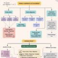 Exemples de différents types de fonds d'investissement en finance