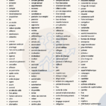 Femme d'affaires utilisant du vocabulaire professionnel lors d'une réunion.